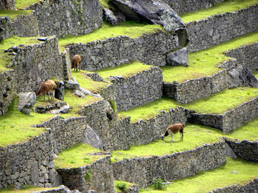 Перу отметит включение дороги инков в список ЮНЕСКО