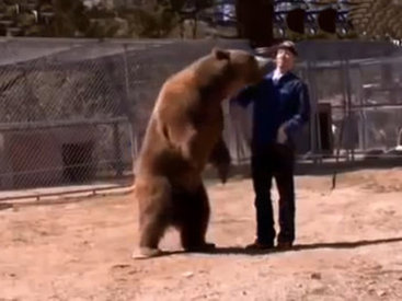 Медведь убил мужчину прямо перед камерой - ВИДЕО
