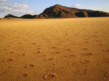 Загадка природы: магические круги в пустыне Намиб - ФОТО