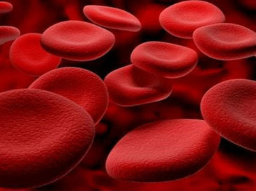 Медики научились искусственно создавать клетки крови