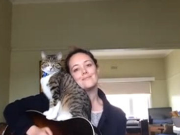 Кот вместе с хозяйкой играет на гитаре - ВИДЕО