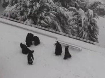 Забавно: монахи играют в снежки - ВИДЕО