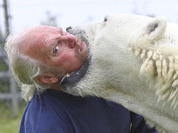 Канадский дрессировщик играет в смертельные игры с гигантским медведем - ФОТО
