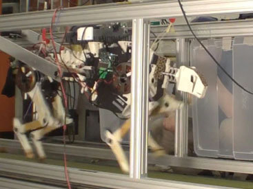 Ученые испытали четырехногого робота-гепарда - ВИДЕО