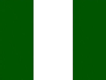 Армия Нигерии заявила о взятии центра "исламского халифата"