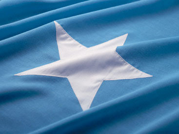 Парламент Сомали выразил вотум недоверия премьер-министру