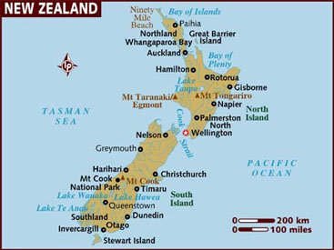 Власти Новой Зеландии запретили добычу акульих плавников
