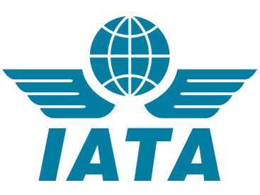 IATA - за тщательное расследование авиакатастрофы во Франции
