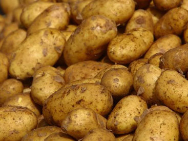 Из Азербайджана в Грузию возвращено около 90 тонн зараженного картофеля