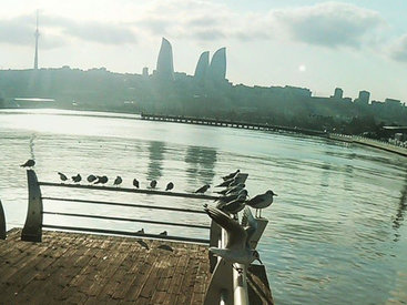 Погода порадует жителей Баку