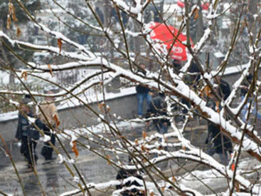 Прогноз погоды в Баку на ближайшие дни