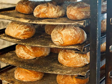 Освобождение муки и хлеба от НДС увеличило покупательную способность