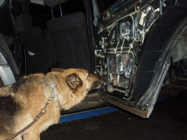 Собака обнаружила наркотики в КАМАЗе в Билясуваре