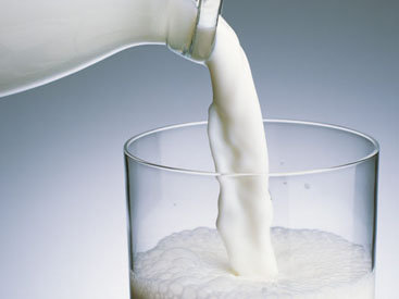 Молоко останавливает рост опухолей