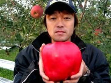 Японский фермер вырастил гигантское яблоко