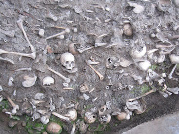Останки из Губинского захоронения поместят под стекло