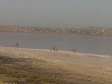 Мертвое море в Баку: почему бакинцы купаются в озерах? - ФОТО