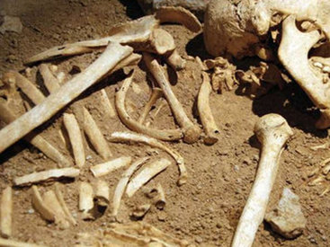 В центре Баку нашли человеческие кости - ВИДЕО