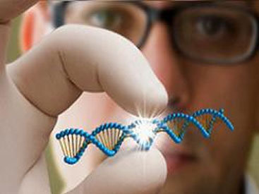 Удивительное открытие ученых: ДНК можно изменить