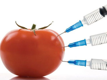 Азербайджан объявил войну ГМО