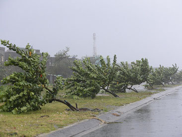 Филиппины срочно эвакуируют: на остров движется тайфун