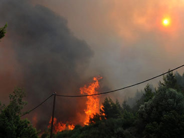 В районе Тбилиси горит лес