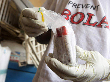 Вакцину от Эболы протестируют на 10 000 человек