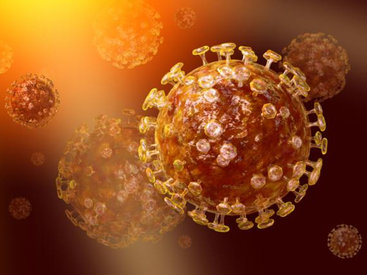 Обнаружена высокая выживаемость коронавируса осенью и весной