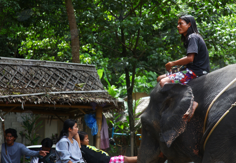 Загадочный Таиланд: страна слонов, улыбок и двух океанов – ФОТОСЕССИЯ