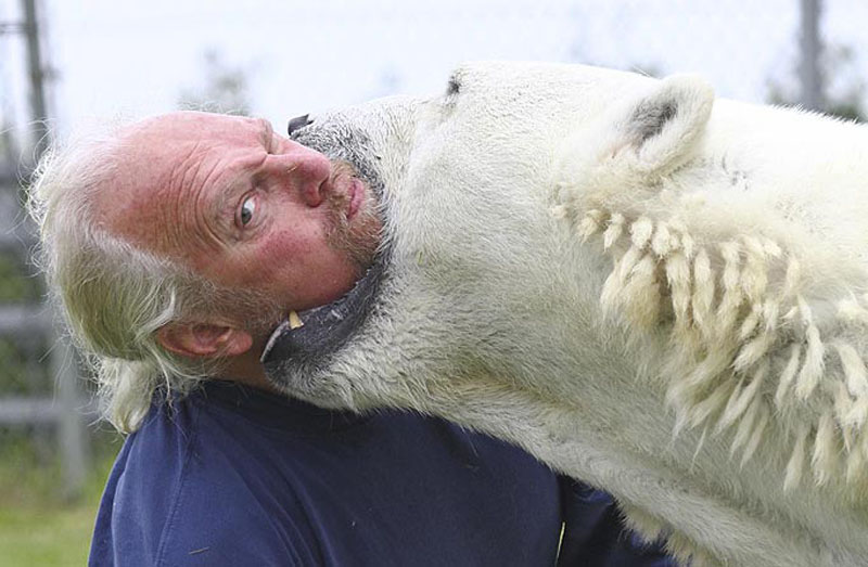 Канадский дрессировщик играет в смертельные игры с гигантским медведем - ФОТО