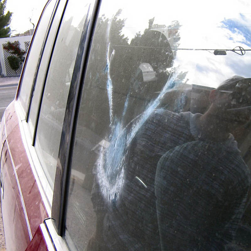 Не заметил стекло. Отпечатки на стекле. Отпечатки на стекле автомобиля. Отпечаток на окне. Птица на стекле автомобиля.