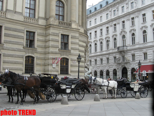 Сказочная Вена: удобный город для каждого - ФОТО