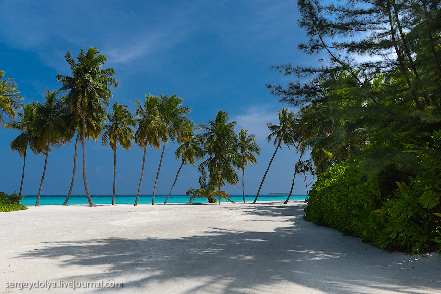 Лучший в мире курортный отель на Мальдивах - ФОТОСЕССИЯ