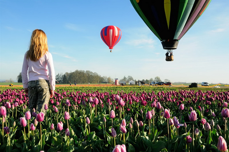 Самые яркие тюльпаны со всего света - ФОТОСЕССИЯ