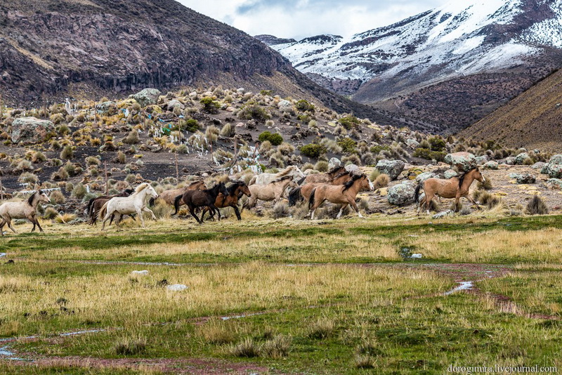 Внушающая уважение высота: парк Сахама - ФОТОСЕССИЯ