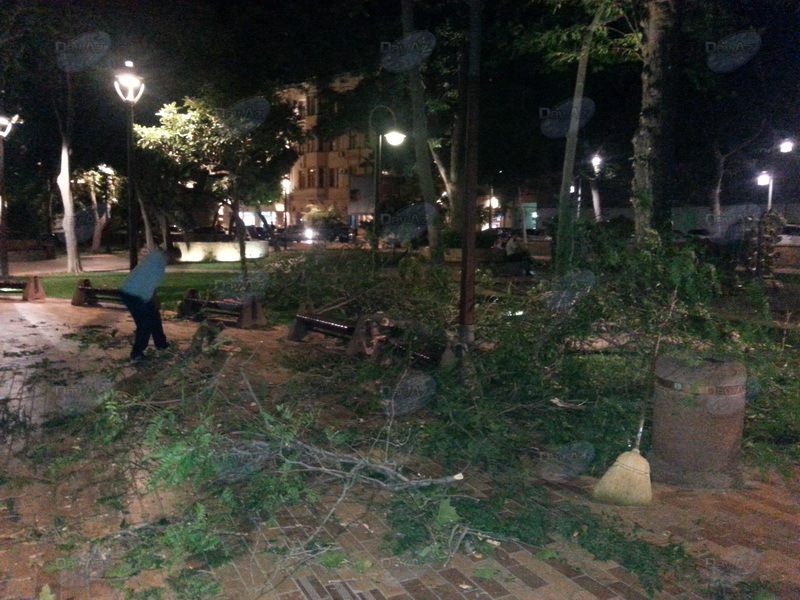 В центре Баку дерево чуть не покалечило людей - ФОТО