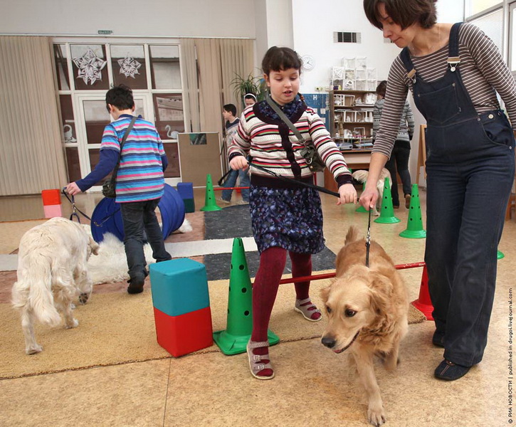 Канис-терапия: как собаки помогают больным детям - ФОТОСЕССИЯ