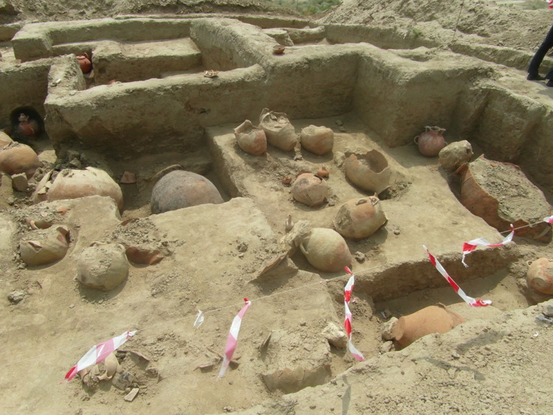 В Сальяне найдено уникальное древнее кладбище - ФОТО