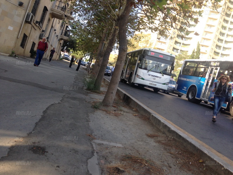 В Баку водитель автобуса совершил ДТП - ФОТО - ВИДЕО