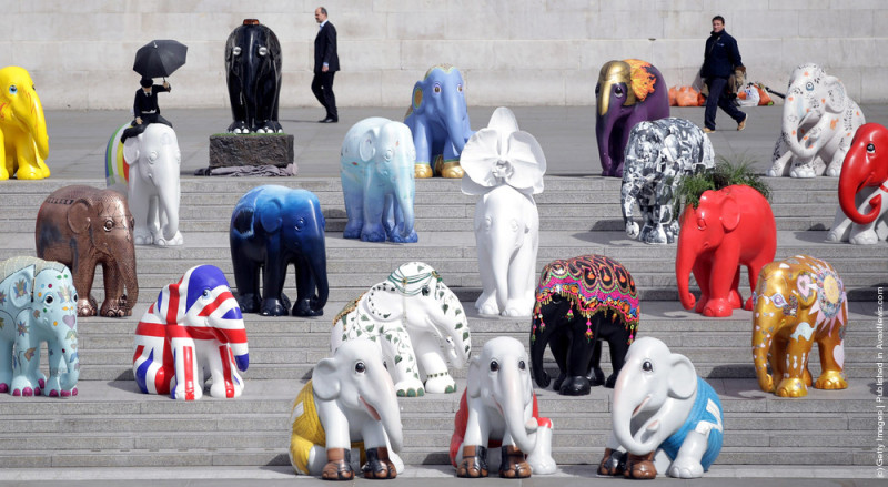 "Картинная галерея Day.Az": Необычные скульптуры слонов - ФОТО