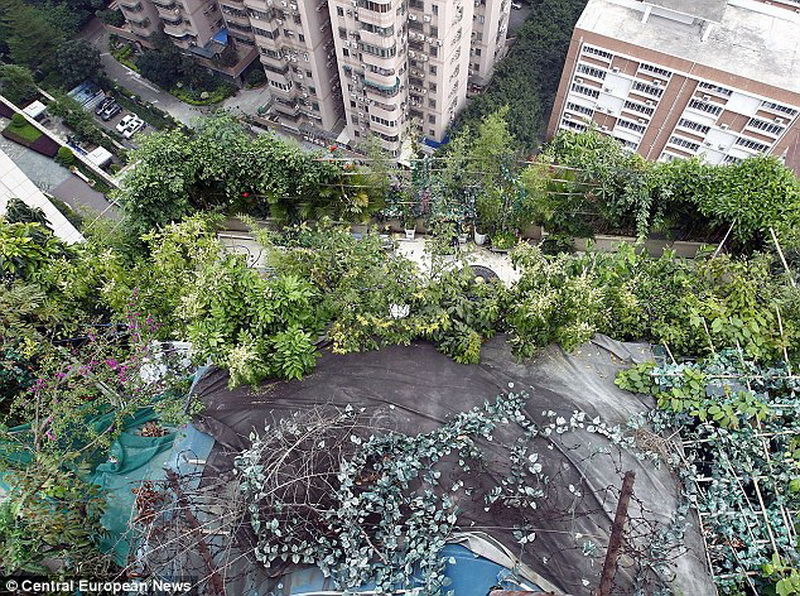 Разбитый сад. Китай сады на крышах. Сады на крышах домов в Китае. Высотный дом в Китае с садом на крыше. Дворы в Китае многоэтажки.