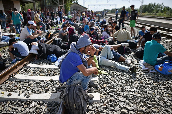 Душераздирающие снимки беженцев, ищущих новую жизнь в Европе - ФОТО