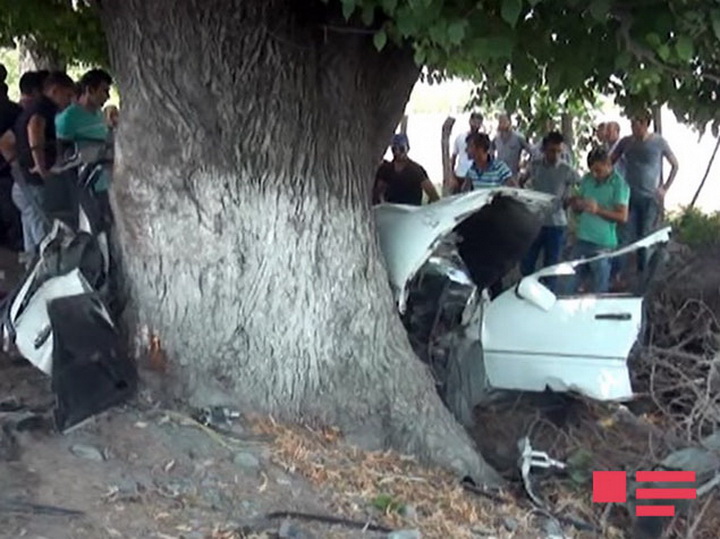 "Mercedes" ağaca çırpıldı, sürücü öldü - FOTO