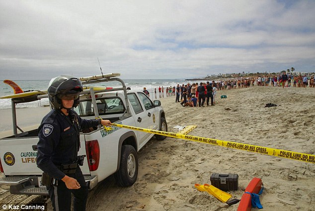 На пляж упал самолет, пострадал подросток - ФОТО - ВИДЕО
