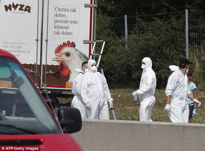 В Австрии по делу о 70 трупах в грузовике арестованы 7 человек - ОБНОВЛЕНО - ФОТО