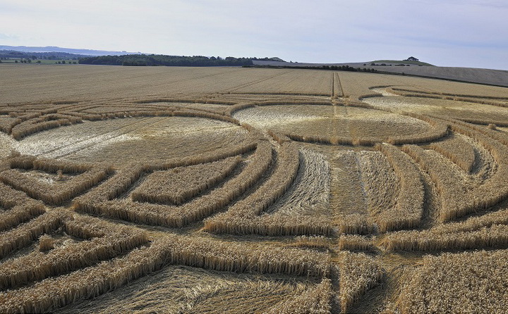 Загадочные круги на полях в графстве Уилтшир - ФОТО