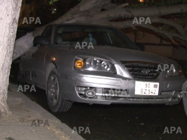 Ветер нанес серьезный ущерб автомобилям в Баку - ОБНОВЛЕНО - ФОТО