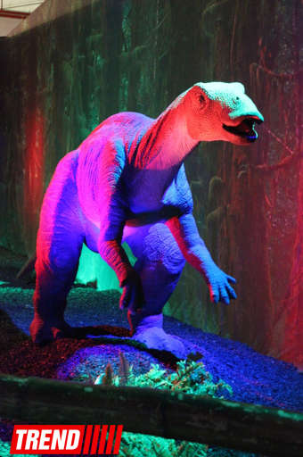 В Баку стартовало грандиозное "Шоу динозавров" - ФОТО