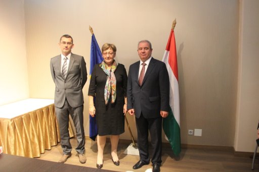 Азербайджан и Венгрия обсудили сотрудничество в сфере ИКТ - ФОТО