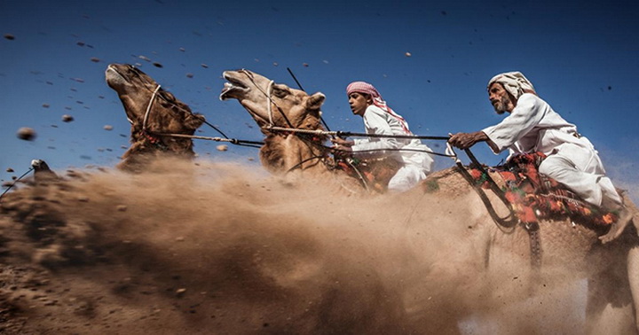 25 лучших фотографий National Geographic 2015 - ФОТОСЕССИЯ